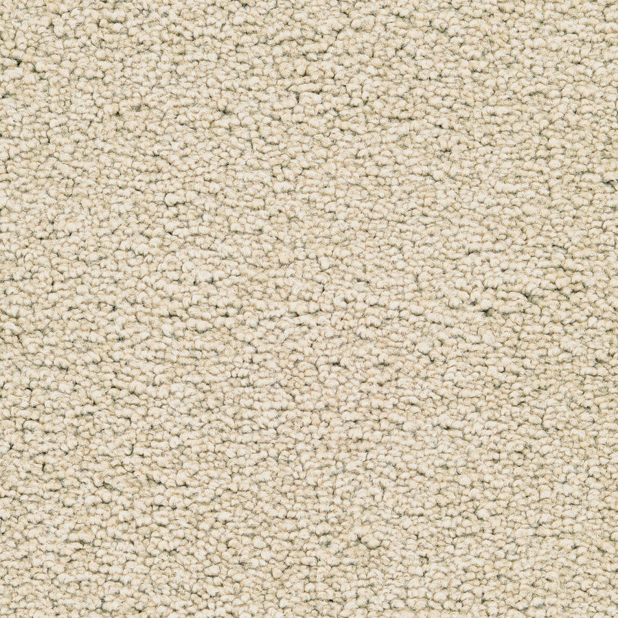 STAINMASTER Active Family Stellar Delicate Textured Indoor Carpet