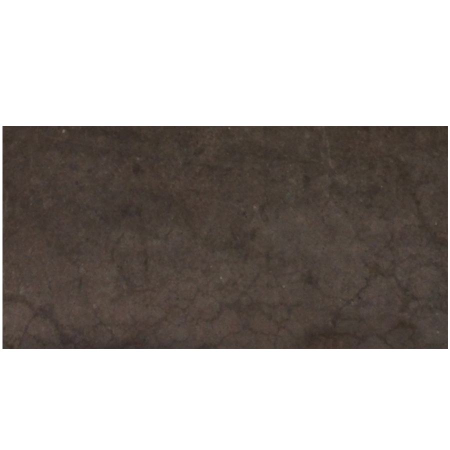 Style Selections Geletta Chocolate Glazed Porcelain Floor Tile (Common 12 in x 24 in; Actual 11.85 in x 23.85 in)