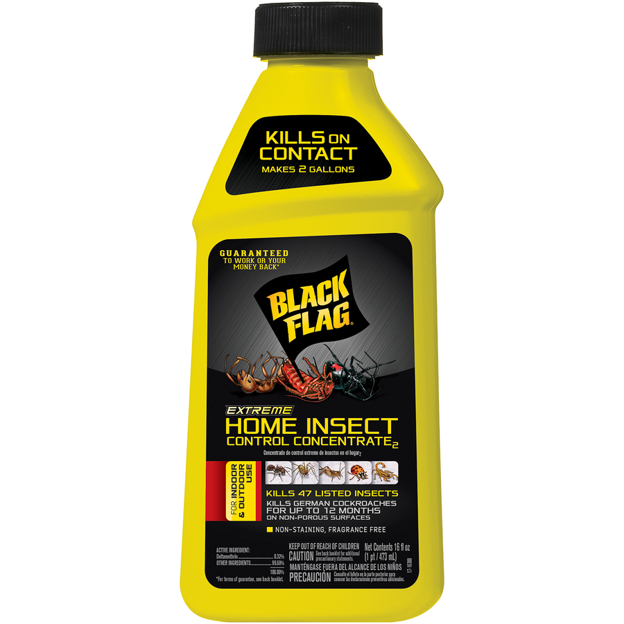 BLACK FLAG Extreme Home Insect Control Concentrate