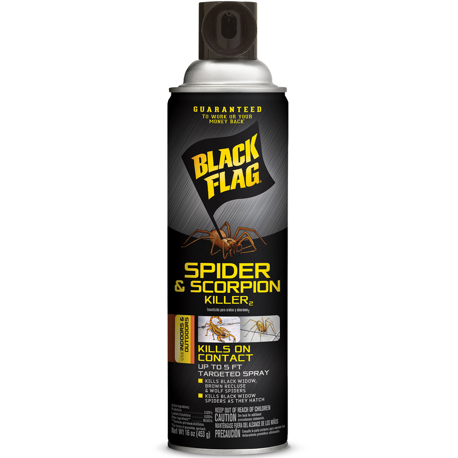 BLACK FLAG 16 oz Spider & Scorpion Killer